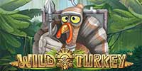 ігровий автомат Wild Turkey